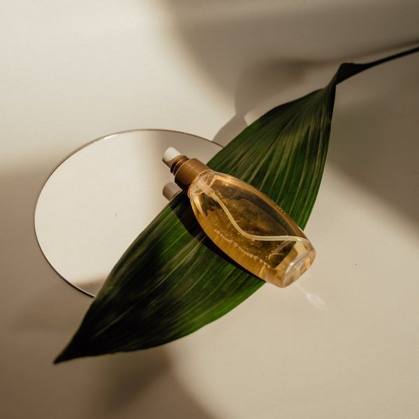 SEO y posicionamiento web en Apure